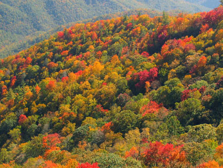 Colors seen from Whiterock Cliffs