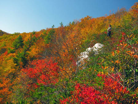 Bol'Dar standing atop highest point of Whiterock Cliffs