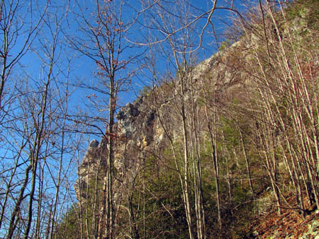 View of part of the cliffs from below
