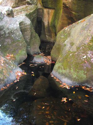Looking up the gut of the lower end of the slot canyon 
