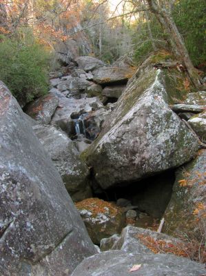 Tyler ahead of us atop granny`s Pantry Falls 
