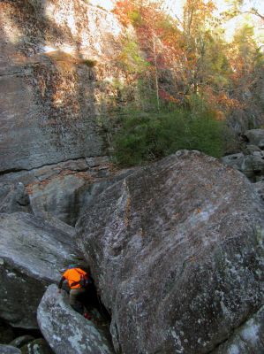 The Badger makes his way through some of the smaller  stones found within the gorge 
