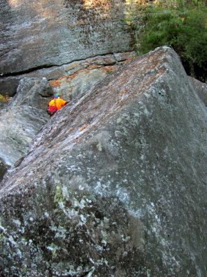 Badger swimming through the boulders 
