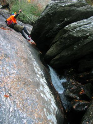 badger demonstrates one of the proper methods of getting around certain obstacles 
