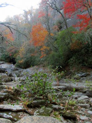 John as we come to the famed Bonas Defeat Wall. This 400 foot tall vertical cliff is where the gorge got its name from the legend of Bonas the dog who met his fate here after chasing a deer over the top. 
