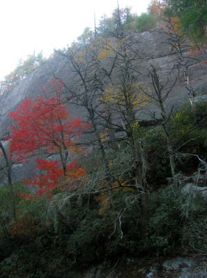The famous Bonas Defeat Wall 
