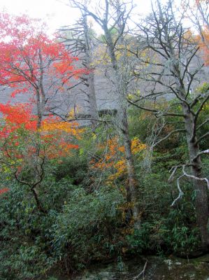The famous Bonas Defeat Wall 
