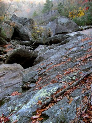 First view of the area beside the wall called Fish Face Rock 
