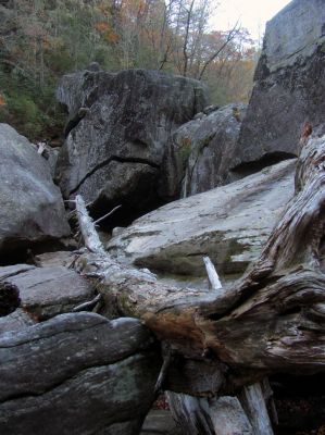 Fish Face Rock 
