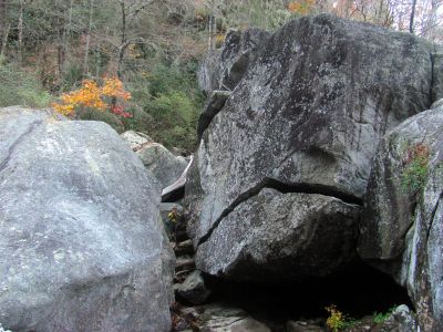 Fish face Rock 
