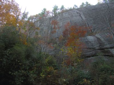 Bonas Defeat wall 
