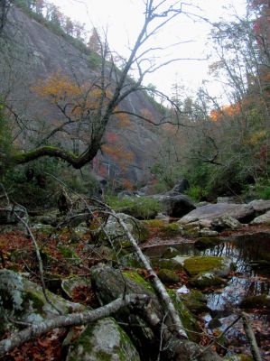 Looking back at the Bonas Wall 
