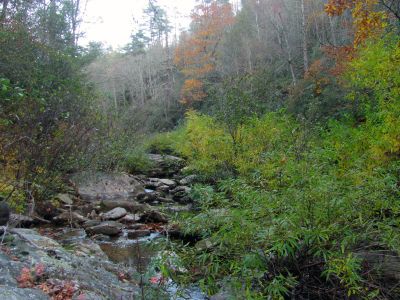 The terrain changes drastically once upstream from the Bonas Wall. 

