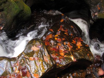 slot canyon falls 
