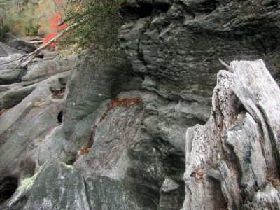 Remember that tree that John was posing beside earlier that i told you to remember ??  yes that`s it !!   Finally, the view off the top of the blockage rock ! Looking down at the lower end of the slot canyon where we were earlier 
