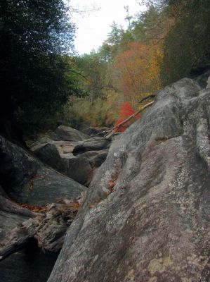 My view of the top of the blockage rock as I straddle and ride it like raging bronco ! 
