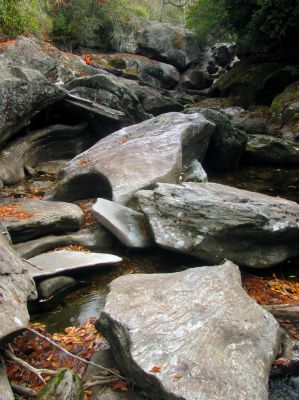 Looking ahead at badger at Granny`s Kitchen 
