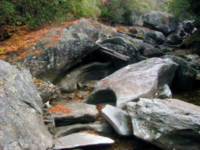 Badger and Tyler at Granny`s Kitchen 
