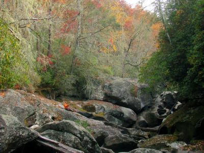 Badger  at Granny`s Kitchen 
