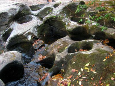 Top part of Granny`s Kitchen 
