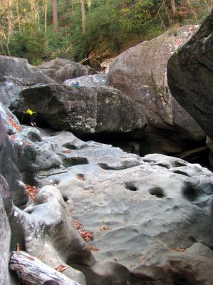 John sniffs out a new crack 
