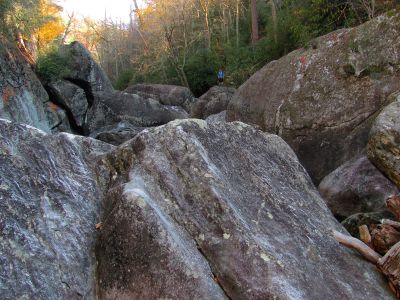 I can see Tyler way up ahead as he looks tiny ! 
