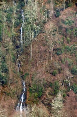 A mini Buckeye Falls  in the adjacent hollow beside Buckeye Falls (Taken 2-4-2016)
