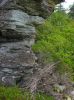 Filename=1006.jpg
Filesize=282KiB
Dimensions=800x1067
Date added=Jul 12, 2016 1006.jpg
