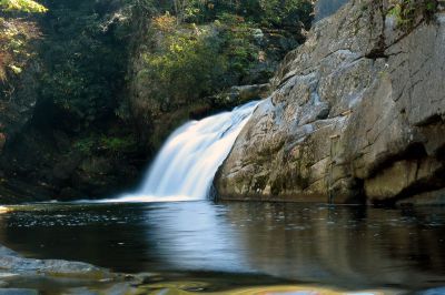 This is a small falls just above Compression Falls. It is between Compression and Twisting Falls that I personally sometimes refer to as the 'middle falls' or upper Compression falls. Taken 10-06-2016
