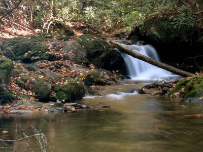 Devil Fork Cascades
First set of cascades found on Devil Fork Creek where it meets South Indian Creek (taken 10-17-2010)
