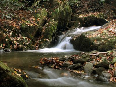 Devil Fork Cascades
Second set of cascades found on Devil Fork Creek (taken 10-17-2010)
