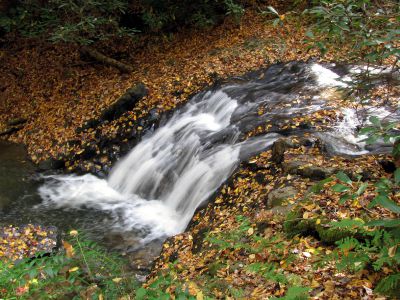 Devil Fork Falls
Lower Devil Fork Falls (taken 10-19-2010)
