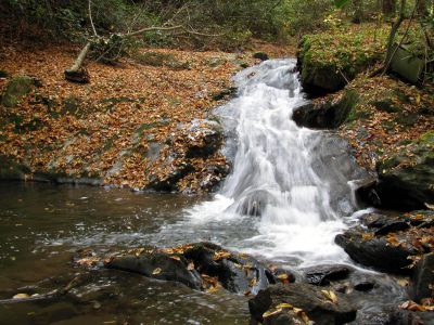 Devil Fork Falls
Falls we found just above the Upper Devil Fork Falls (taken 10-19-2010)
