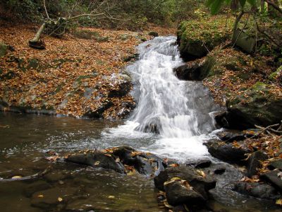 Devil Fork Falls
Falls we found just above the Upper Devil Fork Falls (taken 10-19-2010)
