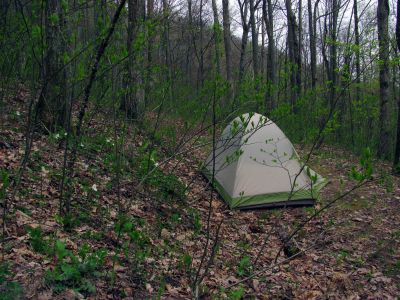 Hiker tent beside the trilliums at the gap 
