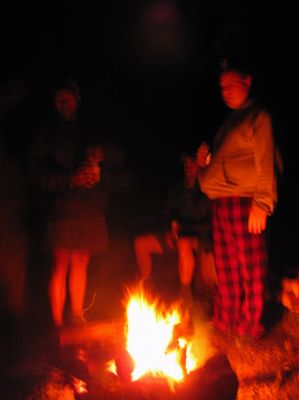 Night life at the gap 
