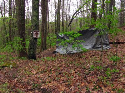 The privy 
