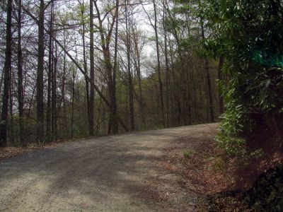 switchback,,
