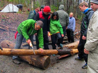Sawing wood, 
