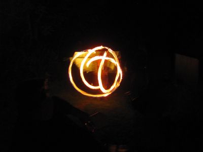 8154.jpg