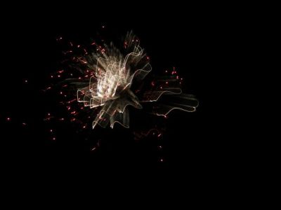 fireworks2.jpg