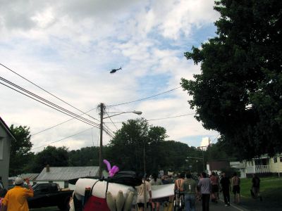 4542.jpg