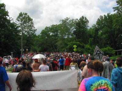 4596.jpg
