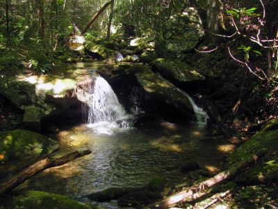 small cascade along the trail
