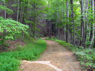 Trail between Old House Gap and Roseboro
