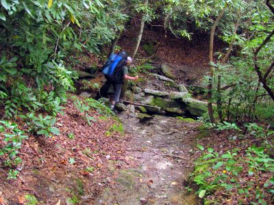 Bol'Dar on the MST while following the Gragg Prong Creek 
