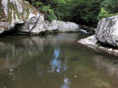 Gragg Prong Creek 
