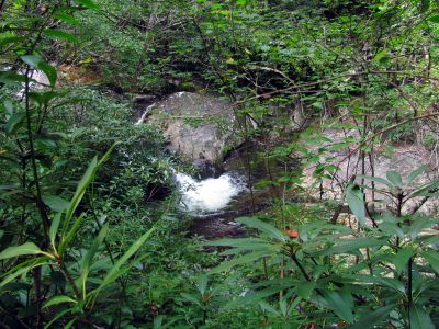 N. Harper Creek
