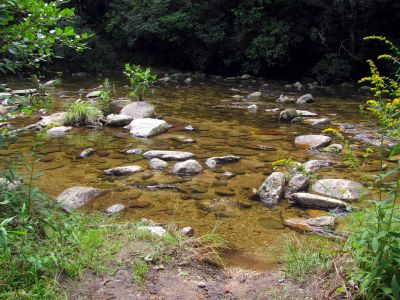 wide crossing of Harper Creek 
