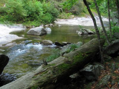 Harper Creek near our camp below Harper Falls
